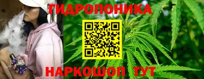 хмурый Дубна