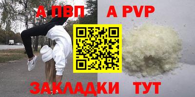 стаф Донской