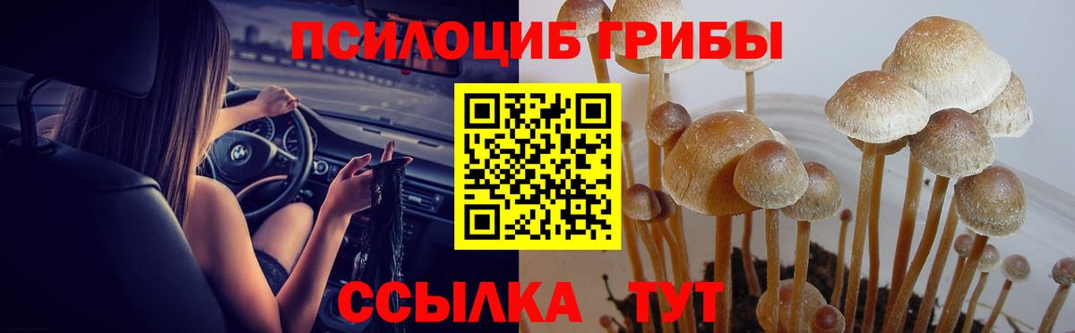 Псилоцибиновые грибы прущие грибы Дзержинский